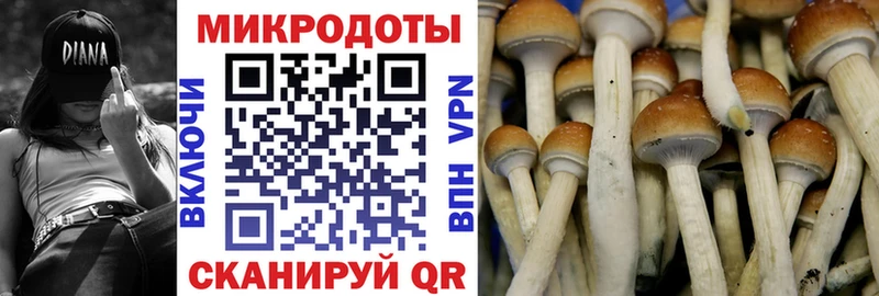 Галлюциногенные грибы Magic Shrooms Кущёвская